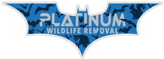 Allendale Wildlife Removal