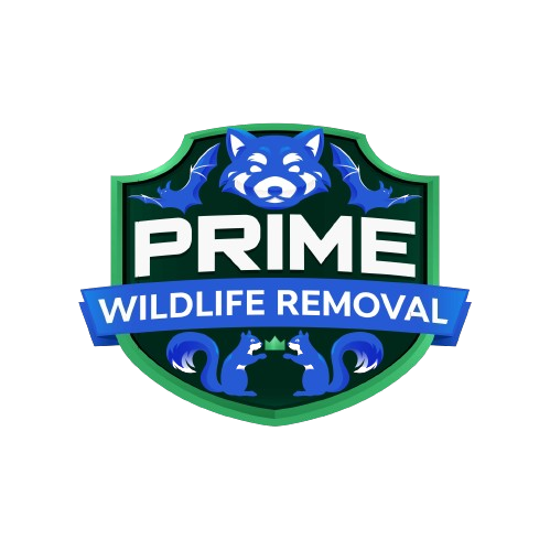 Allendale Wildlife Removal